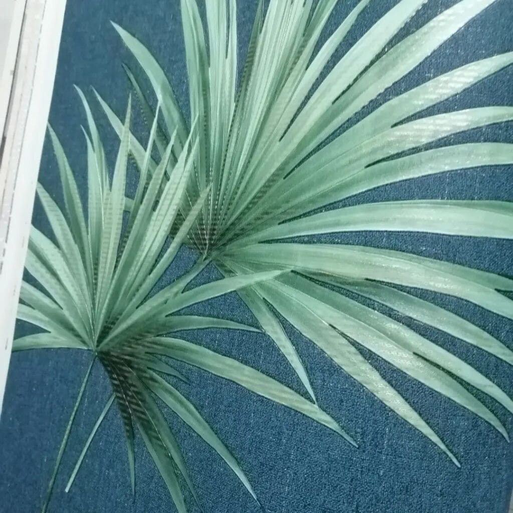 photo 2022 05 16 00 35 22 2